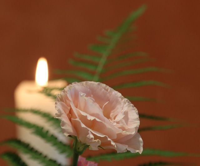Eine brennende Kerze neben einer Rose.