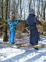 Zwei Kinder balancieren auf einem umgestürzten Ast in einem verschneiten Wald.